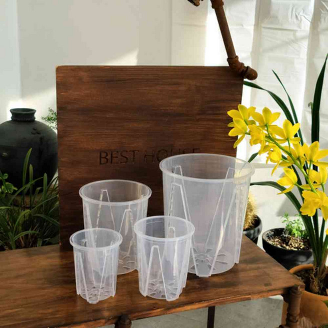 늘셋 고투명 슬릿분 슬릿화분 삽목화분 12cm