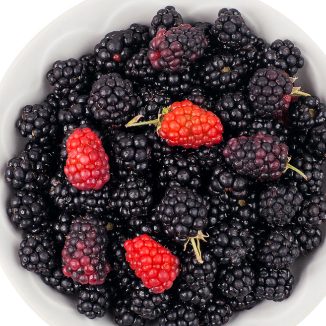 푸른마을 국내산 복분자 당일수확 급냉 프리미엄 블랙베리 건강간식 제철 신선 과일, 1박스, 블랙베리(복분자) 특품 2.5kg