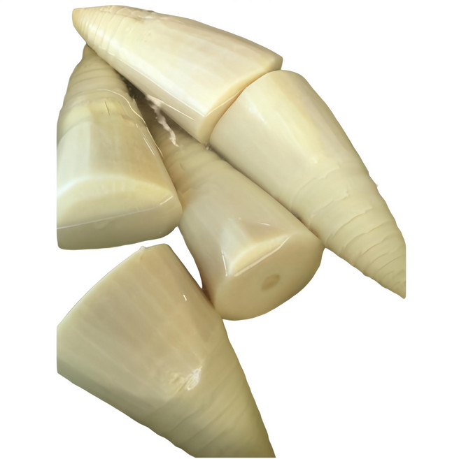 桶筍 麻竹筍, 600g, 1個