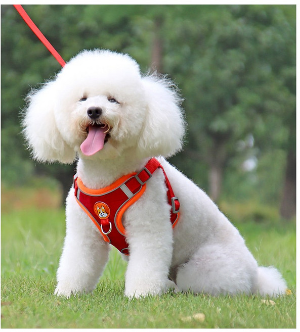 야간 빛 반사 세이프 강아지 하네스 + 리드줄, M, 붉은색, 1개