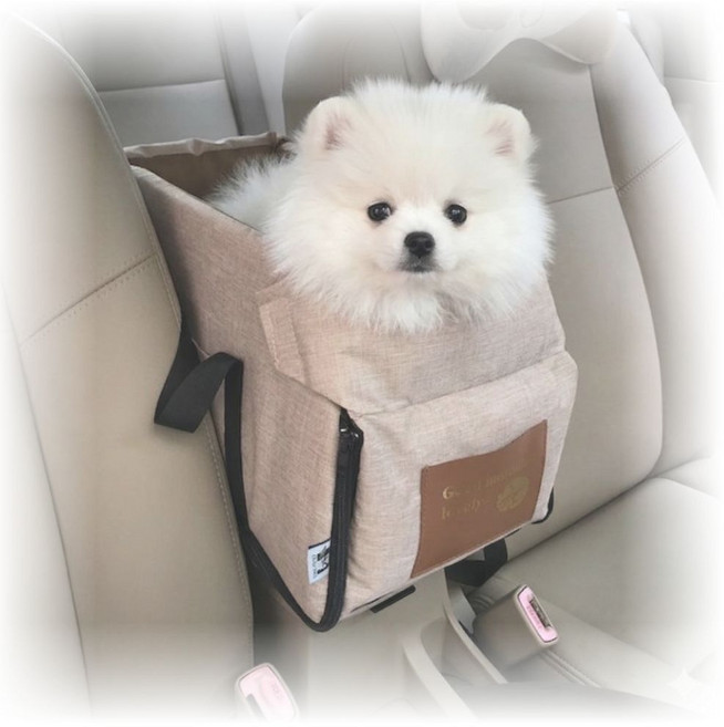 꿀이네 반려동물 콘솔 카시트 이동가방, 1개, 베이지