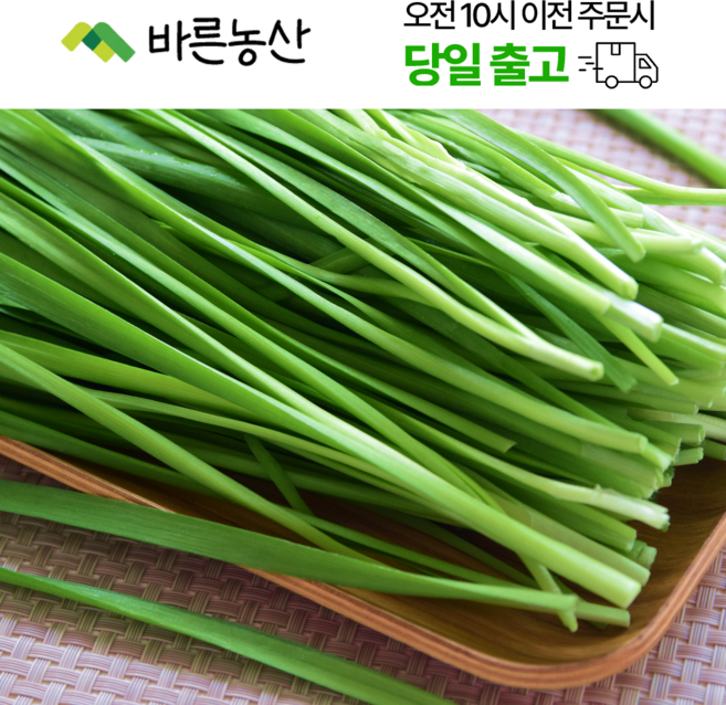 < 바른농산 > 당일수확 국내산 부추 1kg 2kg 4kg 8kg, 1개