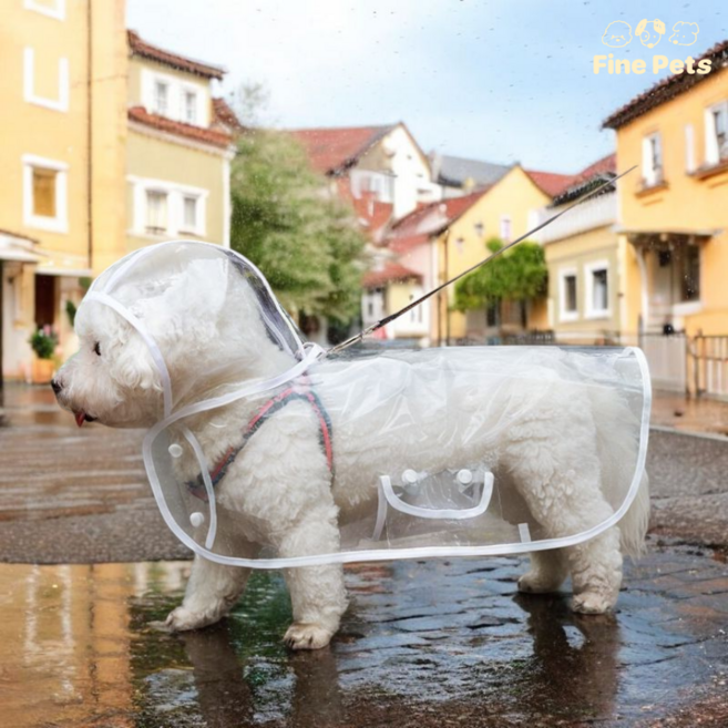 파인펫츠 강아지 투명 망토 우비, 1개, 화이트