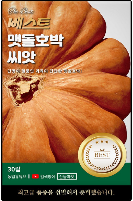 베스트 맷돌 호박 씨앗 30립 단맛이 좋은 단단한 호박씨 종자, 1개