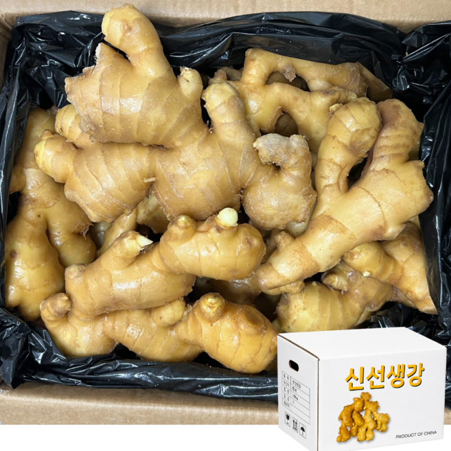 중국산 생강 수입 생강 신선 세척 생강, 1개, 10KG