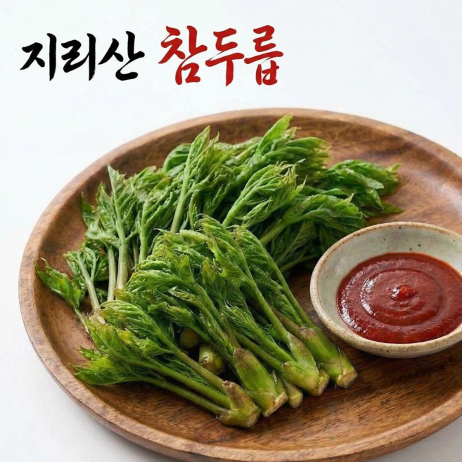 (당일발송) 산청 지리산 참두릅 산지직송 딱한달만!, 1박스, 자연산 두릅 500g