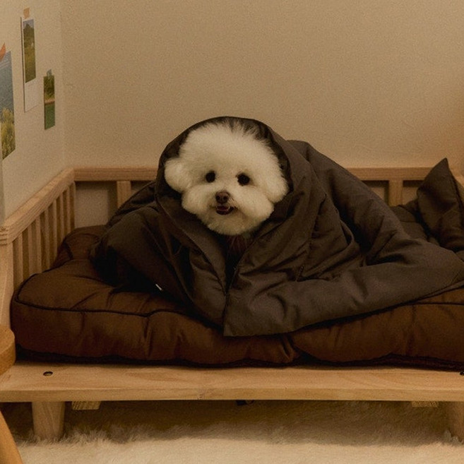 뭉연구소 아기궁뎅이 콩섬유 강아지 이불 담요 베개 세트, 1개, 차콜