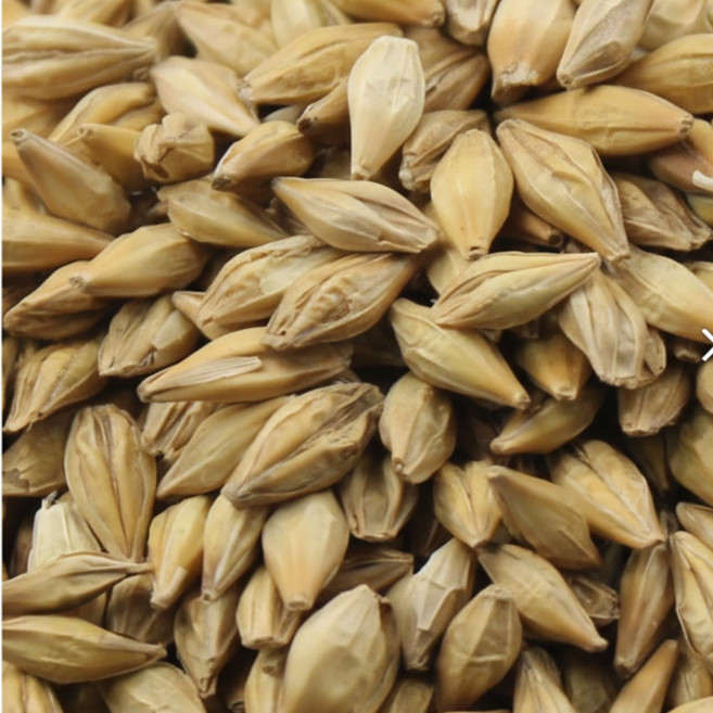 2025년산 겉보리 (밥 해먹는용도아님) 국산100% 쌀아지매, 1개, 1kg