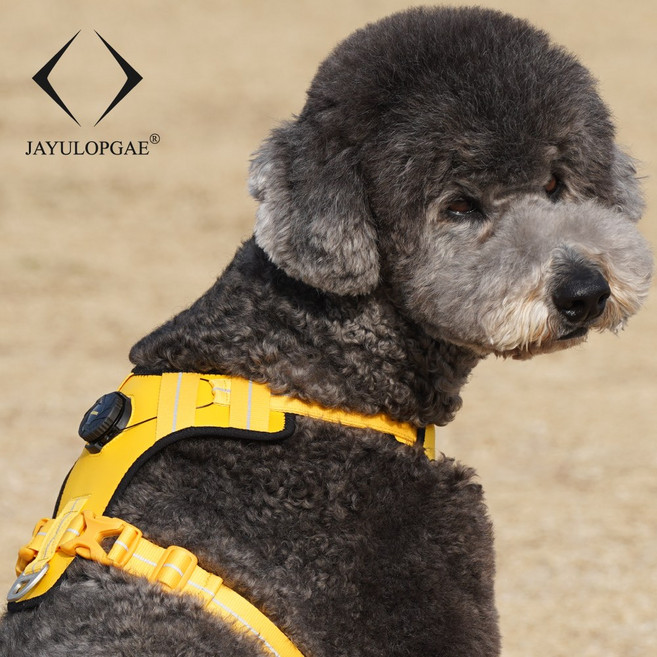 자유롭개 다이얼조절 강아지 하네스 대형견 중형견 소형견 하네스, 노랑, 1개