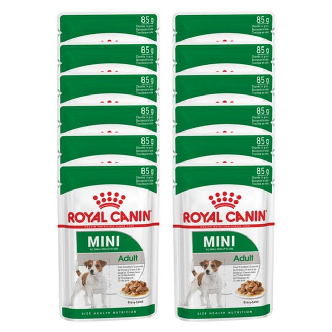 피모건강 성견 소형견 습식사료 85g x12 강아지 애견, 1
