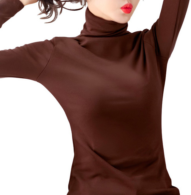 로로스키니 여성 기모 터틀넥 목폴라 니트 티 목 카라