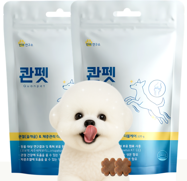 콴펫 강아지 관절 종합영양제 슬개골 체중관리 유산균, 2개, 뼈/관절강화, 60정