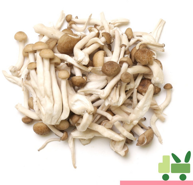 사라상회 만가닥버섯 갈색송이, 2kg, 2개