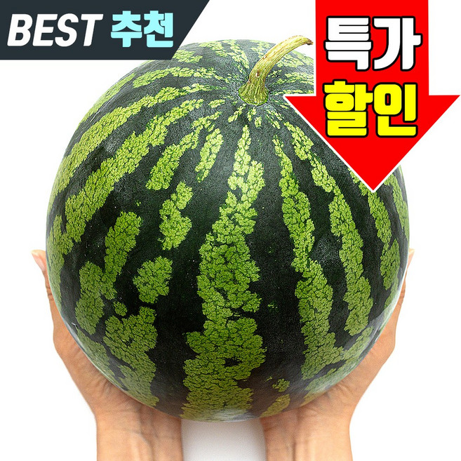 당도선별 수박 하우스, 1개, 3kg~4kg