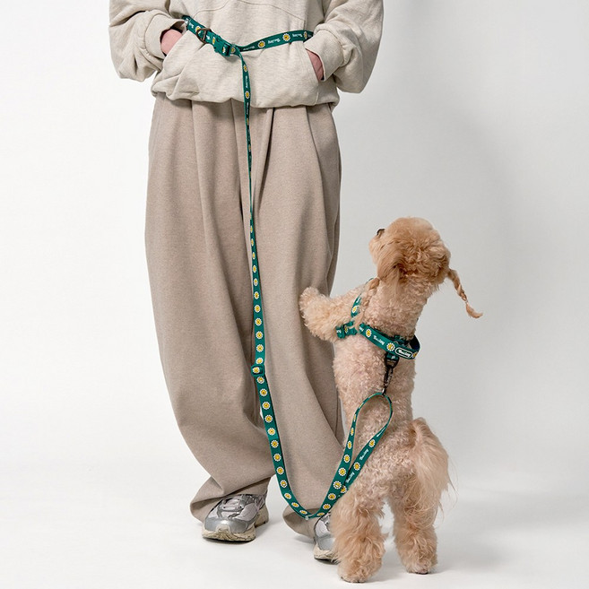 베일리펫 핸즈프리 강아지 리드줄 2.5M 길이조절 산책줄, 1개, 그린