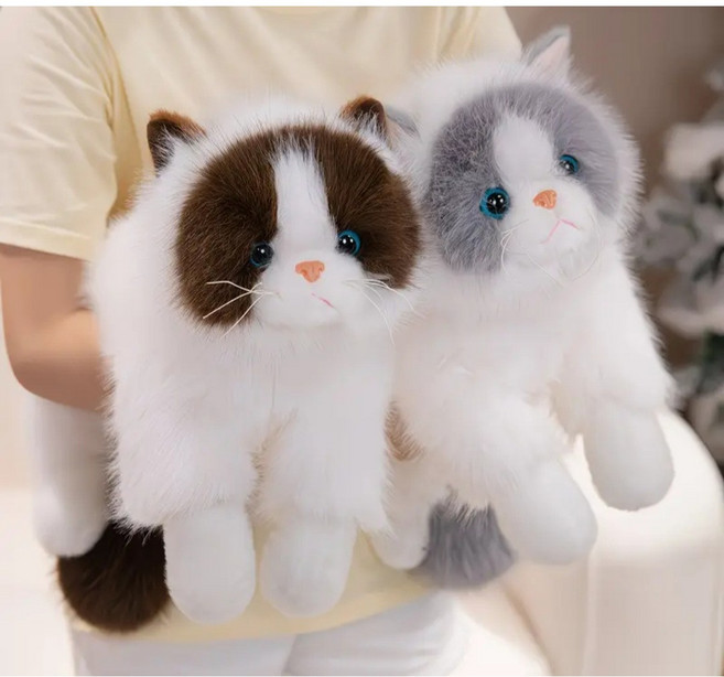 코지베베 보들보들 촉감좋은 리얼 고양이 인형 대형 50cm, 브라운 화이트, 1개