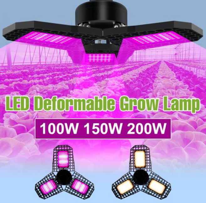 100W 풀 스펙트럼 식물 성장등 LED 전구 220V 변형 가능한 온실 텐트 수경 재배 채소 실내, 01 100W Red Blue, 03 108leds 100W
