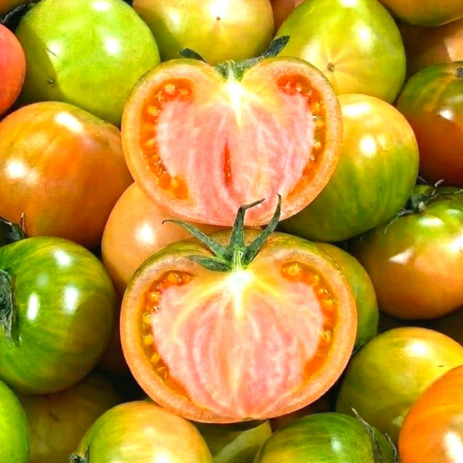 [만족도1위] 프리미엄 대저토마토 짭짤이 토마토, 1박스, 5kg 혼합과 2L~2S