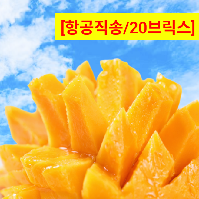 슈가스팟 압도적과육량 골드망고 태국남독마이 당도보장, 1개, 2.5kg