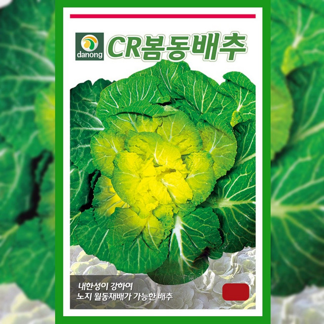 배추 씨앗 cr 봄동 20g 김장 종자 채소 야채 텃밭 키우기