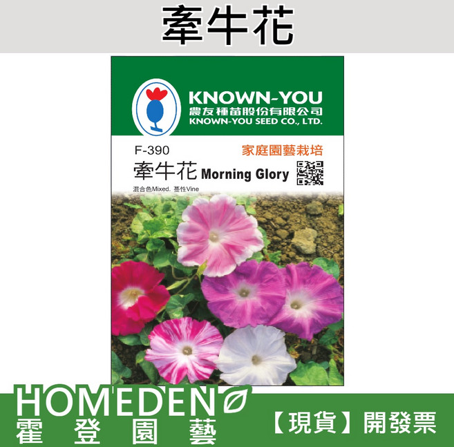 KNOWN-YOU 牽牛花 混合色花卉種子, 1包(約10粒)