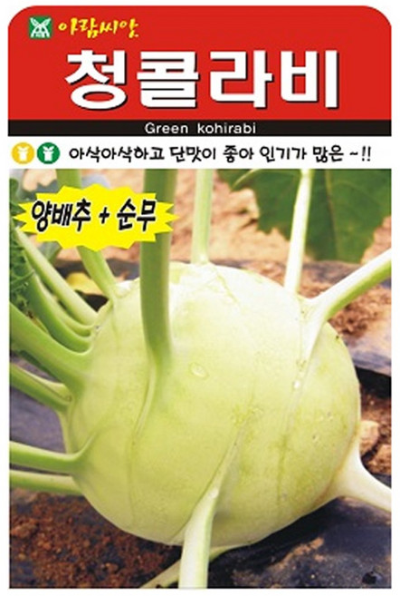 청콜라비 씨앗 종자 씨