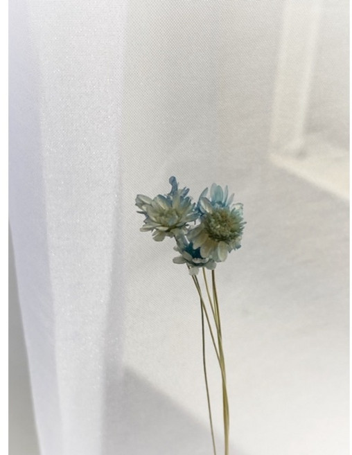 大地農園 乾燥花 迷你花材組 (小星花/小雛菊) DIY手工藝裝飾, 水洗藍,一入五朵