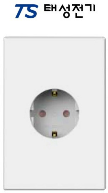 태성전기 틸인스 화이트 1구 콘센트, 1개