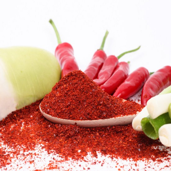 25년 태양초 경북영양 고춧가루 조미용 500g, 1개