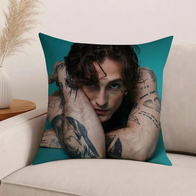 다미아노 데이비드 재미있는 작은 두려움 베개 케이스 사무실 쿠션 소파 자동차 침실 장식 커버에 적합, 1개, 2. z2 / F. 55x55CM(22x22In)