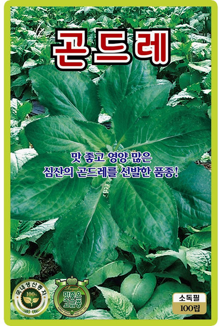 산들마켓 곤드레 씨앗 100립 영양 많은 심산의 곤드레를 선발한 재래종 국내산 고급 품종 종자, 1개