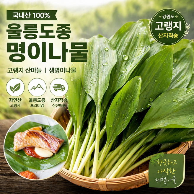 국내산 고랭지 산마늘 명이나물 울릉도종 강원도 생명이나물 신선 산지직송 쌈 채소 제철 나물, 1박스, 2kg