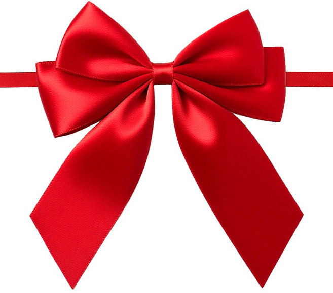 드림팩토리 공단 완성리본 타이리본(더블), 20개, 레드