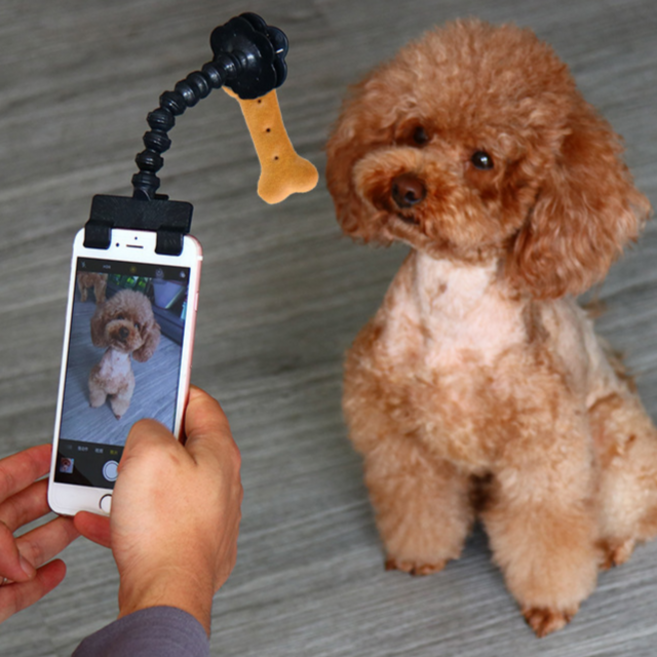 레모릭스 반려동물 애완동물 촬영 최고샷 핸드폰 클립 홀더 셀카 브래킷 2color, 화이트, 1개