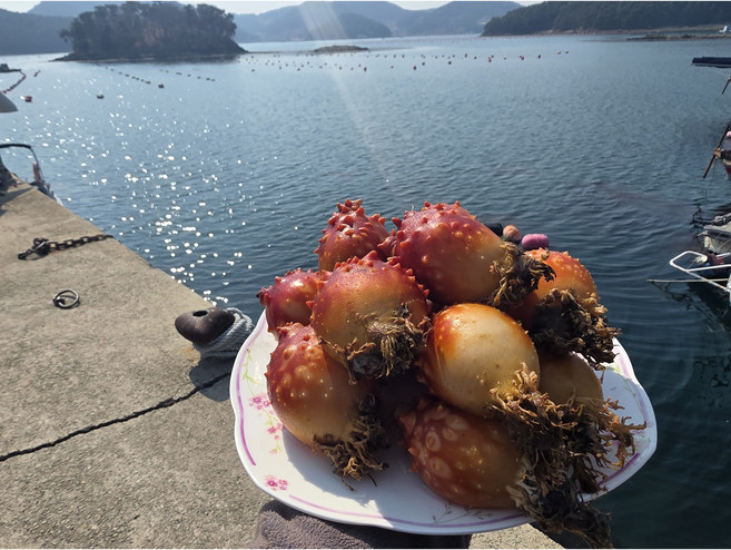 만석해물 통영 제철 꽃멍게 당일손질 산지직송, 1박스, 2kg