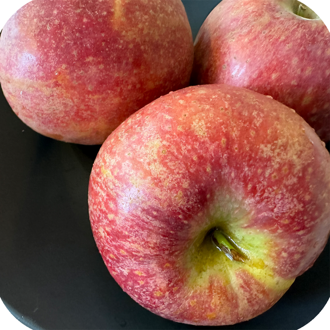 [현지직송]경북 문경 부사사과 특품 겨울 제철 햇사과, 중과 5kg, 1박스