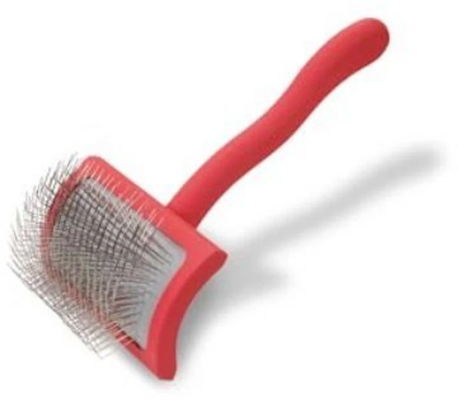 Chris Christensen 빅 G 도그 슬리커 브러시, 산호, Large - 쿠팡