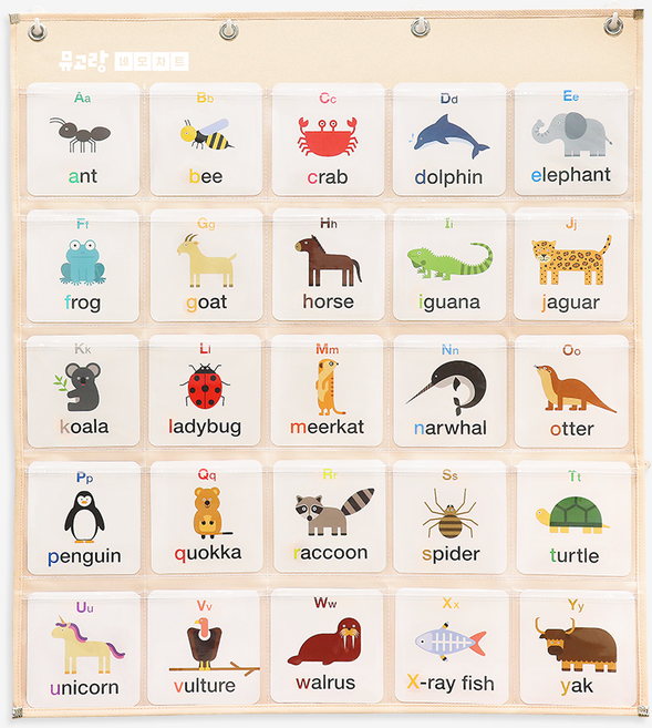 뮤고랑 한글 알파벳 단어카드 벽걸이 낱말카드꽂이 포켓 네모 차트, 1세트, 1개