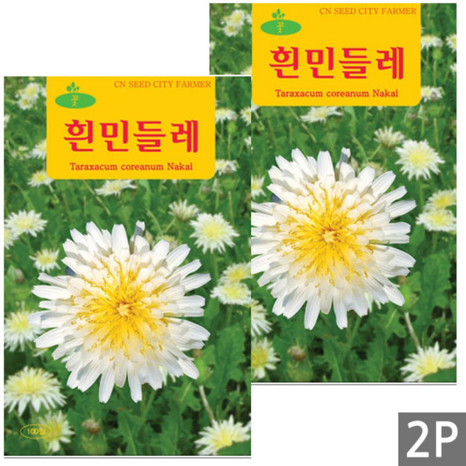 세인화분 흰색 민들레 100립 - 꽃씨 꽃씨앗 씨 씨앗, 2개