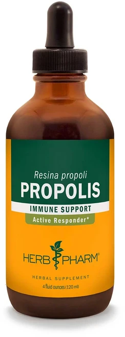 허브팜 프로폴리스 추출물, 120ml, 1개 - 쿠팡