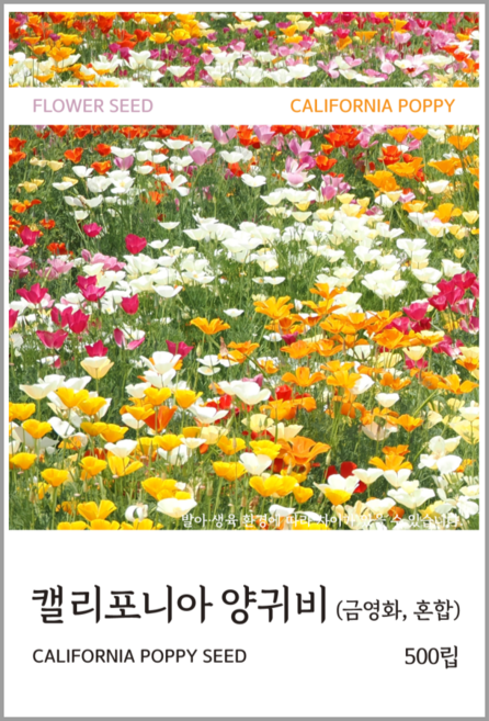 캘리포니아 양귀비(금영화) 혼합 씨앗 500립, 1개
