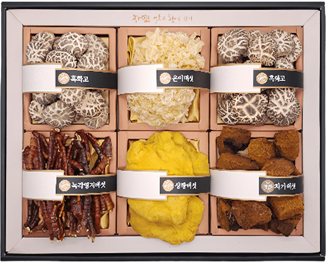 건강 버섯 모듬 선물세트 413g, 1세트