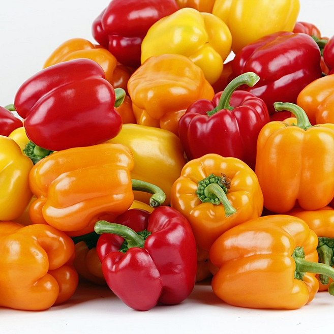 파프리카 노랑 빨강 못난이 파프리카 1kg, 1박스, 2kg(빨강/노랑혼합)