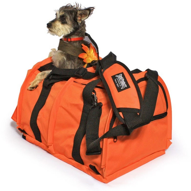 스터디백 Large(라지), 오랜지, 1개