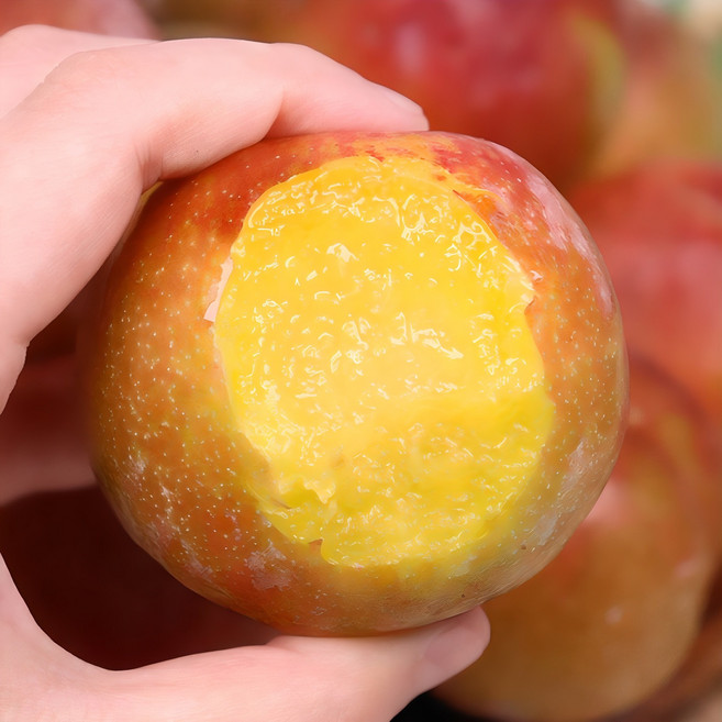 프리미엄 고당도 자두 인기품종 대형마트납품, 1박스, 1kg (대)