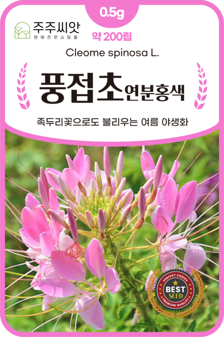 [주주씨앗] 연분홍색 풍접초 씨앗 200립 (0.5g) / 족두리꽃 야생화 꽃씨 씨앗몰, 1개