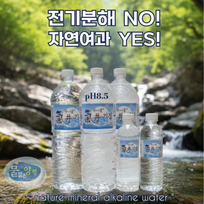 양평천연알칼리수 기정 자연여과 미네랄워터 pH8.5 500ml 2L, 9개