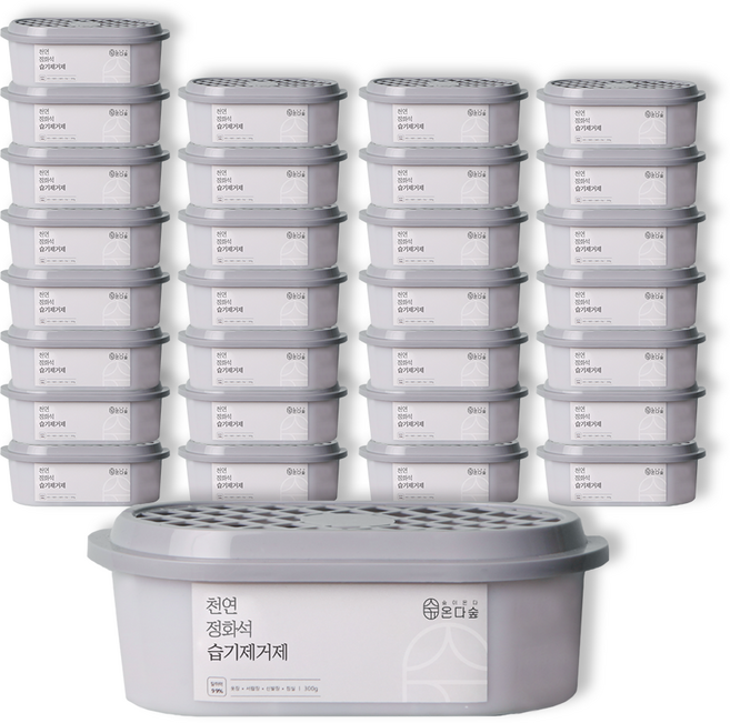 온다숲 반영구 천연제습제 습기제거제 정화석 탈취까지, 300g, 30개