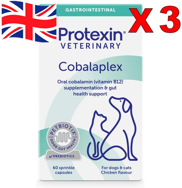 60정 3통 프로텍신 코발라플렉스 B12 B9 엽산 반려견 반려묘 Protexin Cobalaplex Prebiotics, 종합영양제, 3개 - 쿠팡