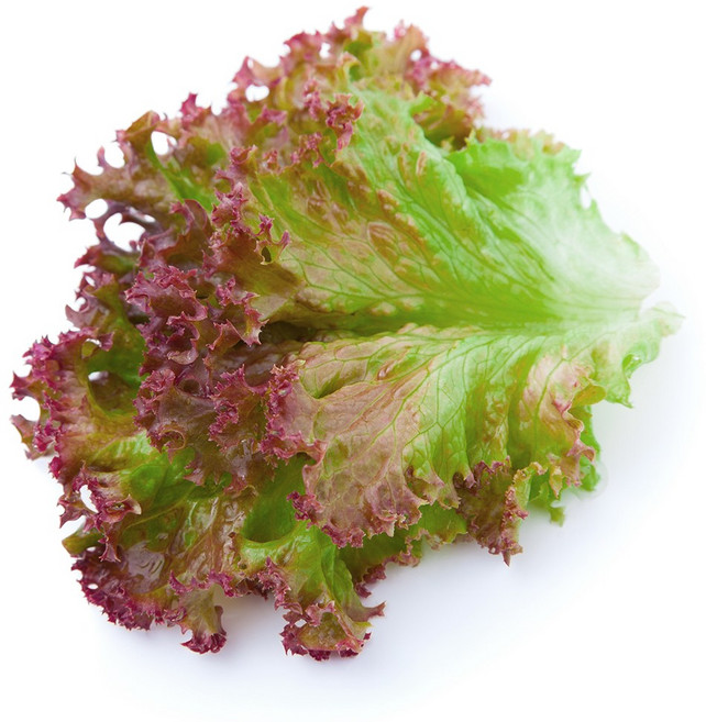 국내산 꽃상추, 1개, 300g